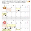 【コアラ】【ベビー】１１月１２月のコアラだよりが出来ています！