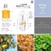 【秋土用の養生】2024秋土用は10/20-11/7、ゆったり丁寧に冬支度しましょう