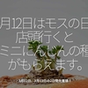 815食目「3月12日はモスの日。店頭に行くとミニにんじんの種がもらえます。」3月12日、3月13日の2日間先着順！