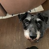 ふくすけ特集やっちゃおよ
