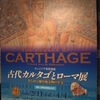 チュニジア世界遺産「古代カルタゴとローマ展」 / 京都文化博物館
