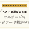 マルチーズのドッグフード何がいい？ベストな選び方と愛犬家がおすすめするポイント