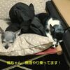 アロママッサージ