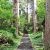 出羽三山の羽黒山神社。