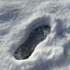 雪のお話。