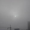今日の朝は～霧
