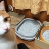 情報漏洩対策をさらに活用させた猫用トイレ