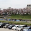 岡山後楽園お散歩 今年最後の桜花見