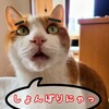 約５年の１１０３記事中、一番人気の記事を大発表！