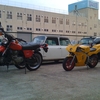 昔の愛車の写真が出てきました　その２　～ＮＳＲ５０～