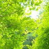 晴れるといいな