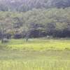庭田山頂公園