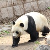 北京動物園へ行ってきた