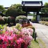 京都・洛北の隠れた名所「妙満寺」のつつじが見頃！2025年開花状況を紹介（京都府京都市左京区）