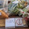 今年の夏休み企画、福岡旅に行ってきました！