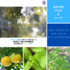 【二十四節気】雨水（うすい）：2025.2.18 19:07