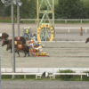昇級初戦・連闘・馬体減 の状況下で惜しい４着！