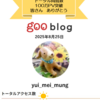 gooblogさんでのトータル閲覧数100万PVを超えました　20250826