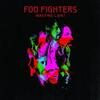 Foo Fighters / Wasting Light