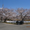 パンク寸前の自転車バイクの代車として乗る