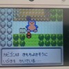 3DSで遊ぶポケモン銀プレイ日記(ポケモンの笛編)