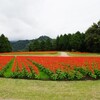 平成29年年度大西老連研修旅行 ( 岡山・鳥取方面 )