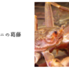 松葉ガニの葛藤