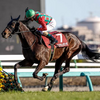 2024 - 中日新聞杯 - 予想・見解 / S-Johnny's - Garden