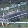 12.26   阪神競馬　注目馬