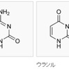 加工肉の発がん性が話題になっているが、脱アミノの話をしよう