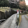 音羽山観音寺入り口往復78kmride、吉野山、最後の奈良まち散策