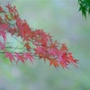 写真について【2024年まとめ】