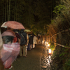 嵐山花灯路2013～竹林の小径ライトアップ