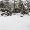 桜じゃない　吹雪！
