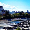 京都ぶらり　本日の一枚　四条大橋からの鴨川