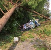 ブログ移転前の主な活動（台風の後始末）