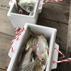 〈その1126〉魚釣り