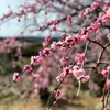 2月の院内研修