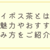 ルイポス茶とは？その魅力やおすすめの飲み方をご紹介！