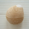 石を拾いに行こう Let's go to pick up a stone.（1）