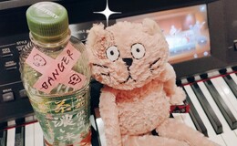 記事を見る