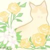 虹の橋はひとりでは渡らない～8月28日の虹の橋記念日に地域猫ムギさんを想う