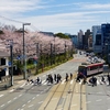 飛鳥山の春