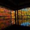 【瑠璃光院2023秋🍁】今年も出会えた絶景瑠璃光院へ🌈✨