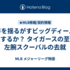 球界を揺るがすビッグディールは成立するか？  タイガースの至宝、左腕スクーバルの去就