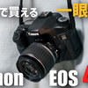 【作例紹介】1万円で買える一眼レフ　canon EOS 40D 写真とともに紹介！