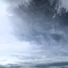 リクガメ「空だより」～2026/6/22