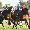 競馬初心者必見☆馬券予想🔥〜東京スポーツ杯2歳S〜今年もここからG1馬が誕生する⁉️