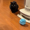 テンションは上がらない月曜日。