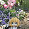 シャロと夙川の春の花